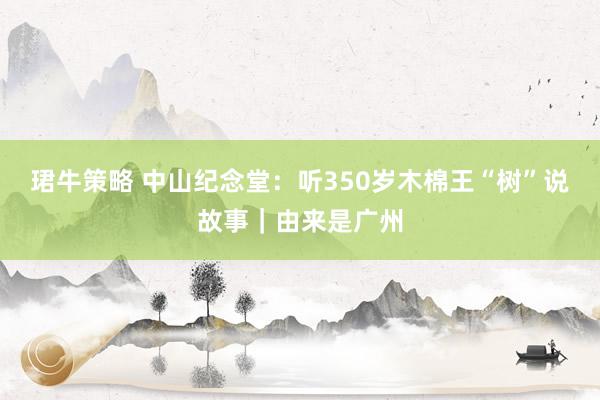 珺牛策略 中山纪念堂：听350岁木棉王“树”说故事｜由来是广州