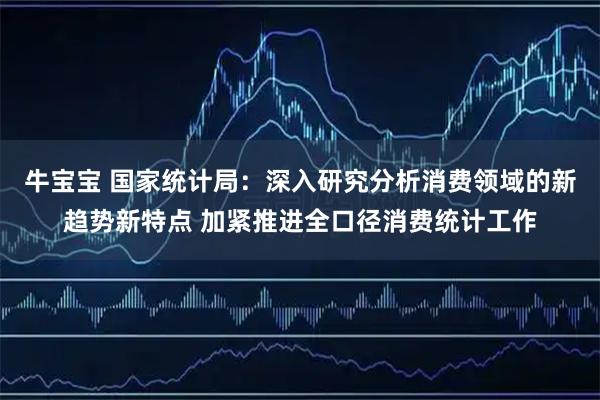 牛宝宝 国家统计局：深入研究分析消费领域的新趋势新特点 加紧推进全口径消费统计工作