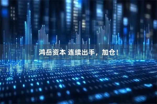 鸿岳资本 连续出手，加仓！
