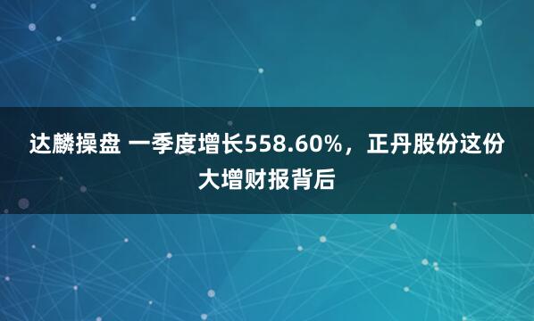 达麟操盘 一季度增长558.60%，正丹股份这份大增财报背后