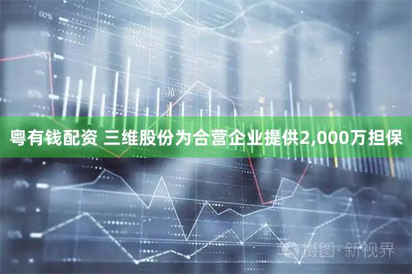 粤有钱配资 三维股份为合营企业提供2,000万担保