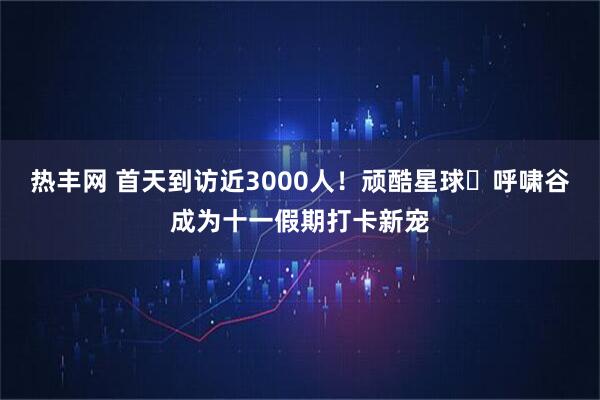 热丰网 首天到访近3000人！顽酷星球・呼啸谷成为十一假期打卡新宠