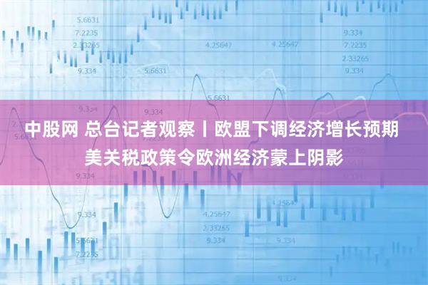 中股网 总台记者观察丨欧盟下调经济增长预期 美关税政策令欧洲经济蒙上阴影