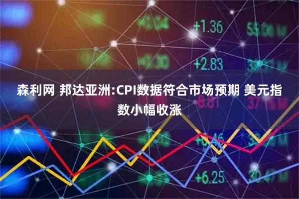 森利网 邦达亚洲:CPI数据符合市场预期 美元指数小幅收涨